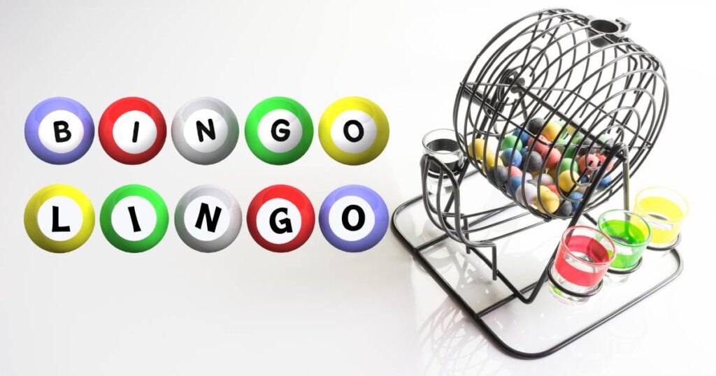 Bingo Lingo