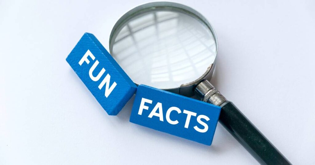Bingo Lingo Fun Facts and Trivia